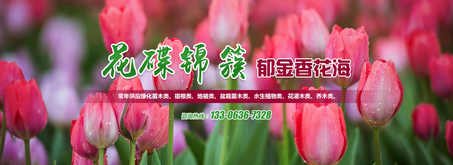 濰坊聚成空氣動(dòng)力機(jī)械有限公司
